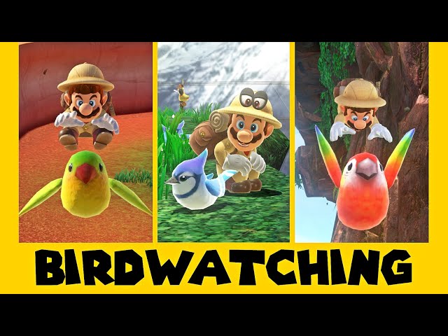 13 Bird Species in Super Mario Odyssey