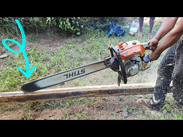 Wood Sawing Skills With Chainsaw STIHL MS 070 Palm Tree Cutting