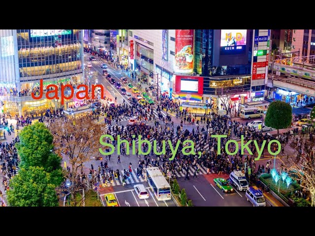 COOLEST crosswalk in the world! Shibuya, Tokyo
