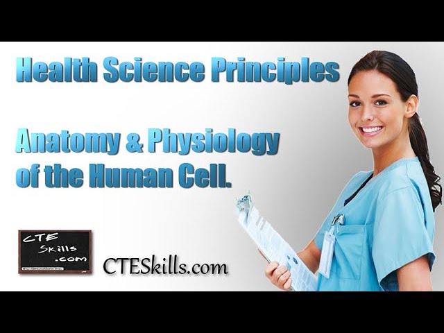 Anatomy and Physiology of the Human Cell In 7 Minutes