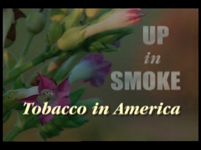 UP IN SMOKE:   Tobacco in America