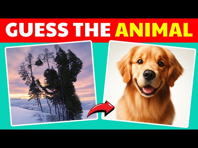 Guess the Hidden Animals by ILLUSIONS 🐶🐷🐤 | Easy, Medium, Hard levels | Quizzer Odin