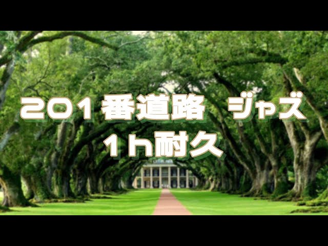 201番道路 ジャズ 1時間耐久　Route 201 Jazz 1h extended   Pokemon ポケモン