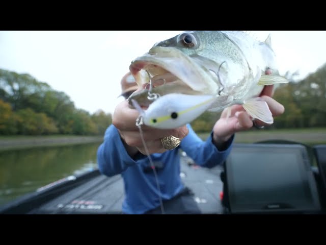Fall Fishing With Alton Jr. (Tiny vs. Normal Baits)