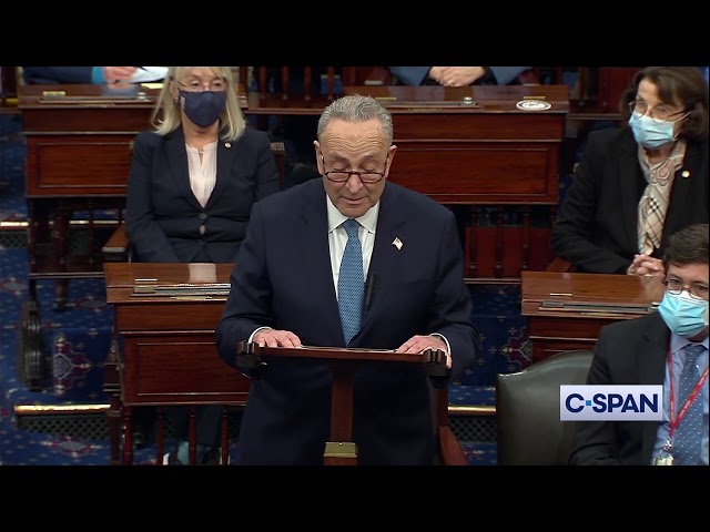 Sen. Chuck Schumer: "This will be a stain on our country not so easily washed away."