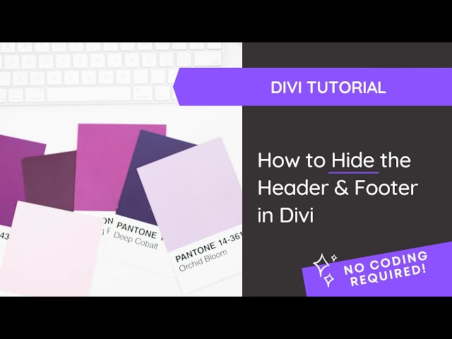 How to Hide the Header and Footer in Divi *no coding required*