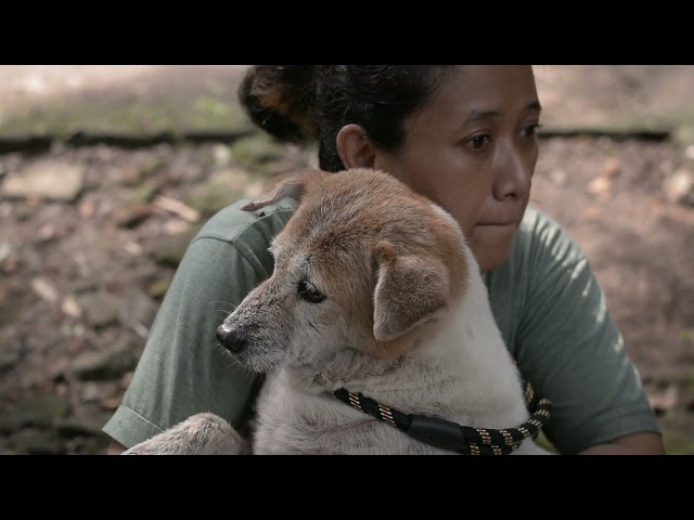 AFJ Animal Workers - Life in a Day - A visual documentary