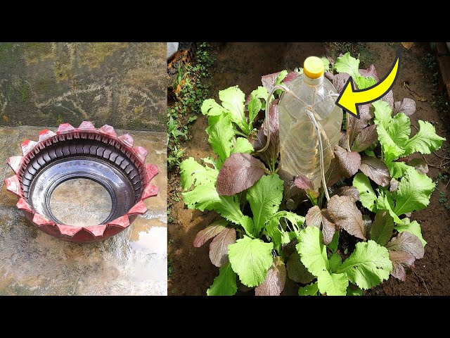 Growing Vegetables In Beautiful Recycled Tires Combined💧 With Drip Irrigation