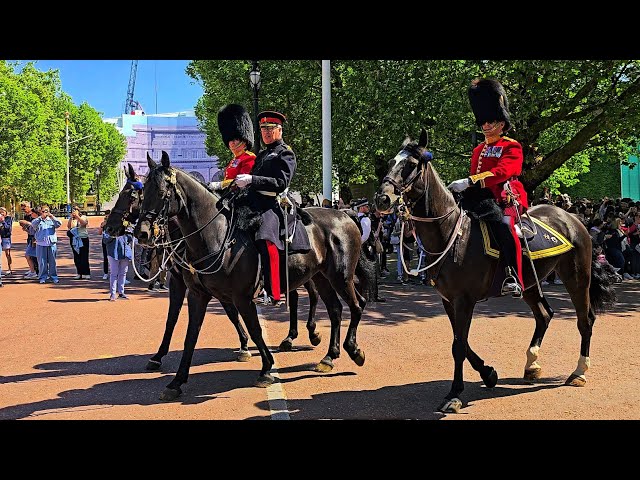 ONE IDIOT UPSETS THE POLICE during the Guard change, despite no King's Guard at Horse Guards!
