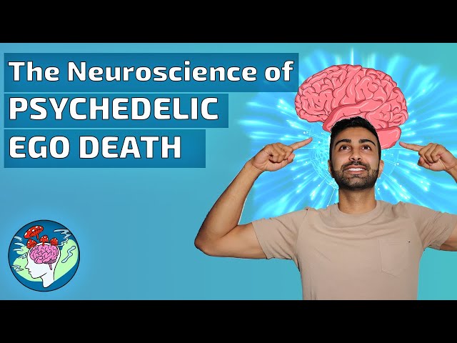 The Neuroscience of Psychedelic Ego-Death | The latest findings