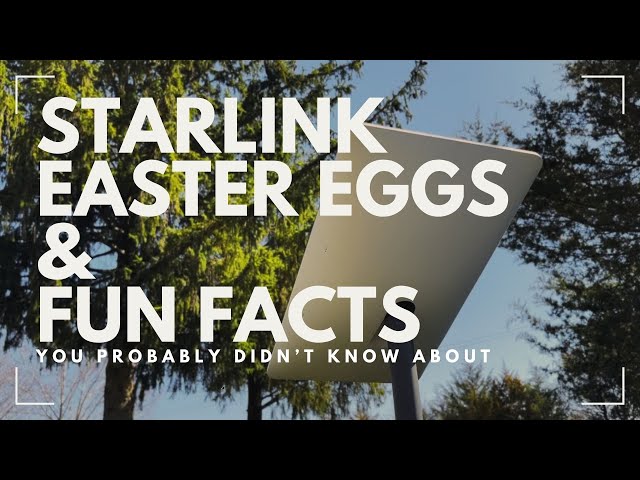 Starlink Easter Eggs and Fun Facts You Didn't Know About