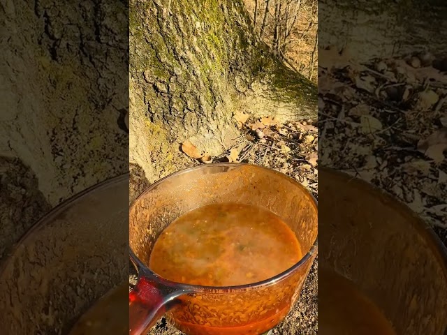 HOW TO COOK INSIDE FOREST | Alcohol mini stove  #nature #wildernesscooking #camping #buschcraft