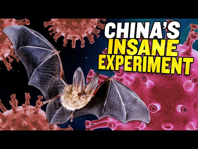 Uncovered: China’s Plan to LEAK Coronaviruses into the Wild