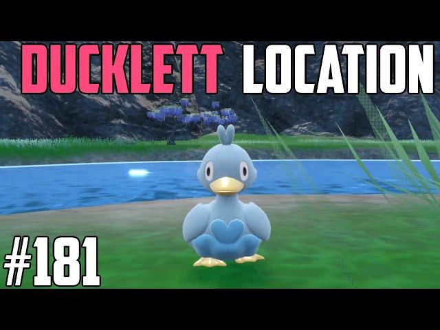 How to Catch Ducklett - Pokémon Scarlet & Violet (DLC)