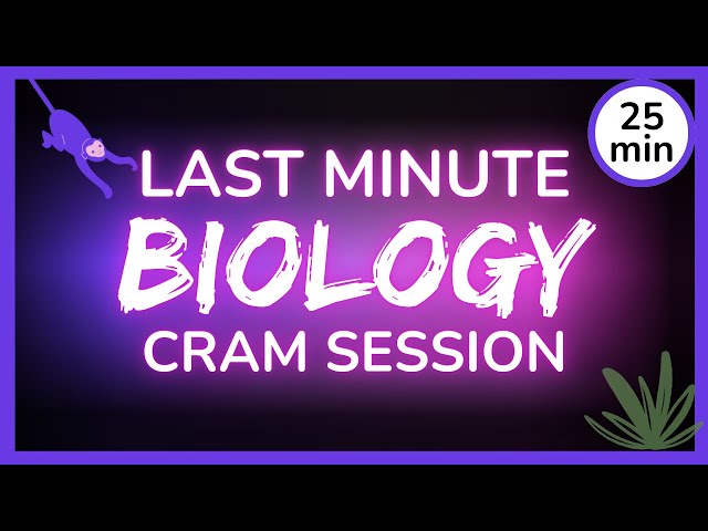 Last Minute Biology EOC Cram Session // 25min Crash Bio Review!