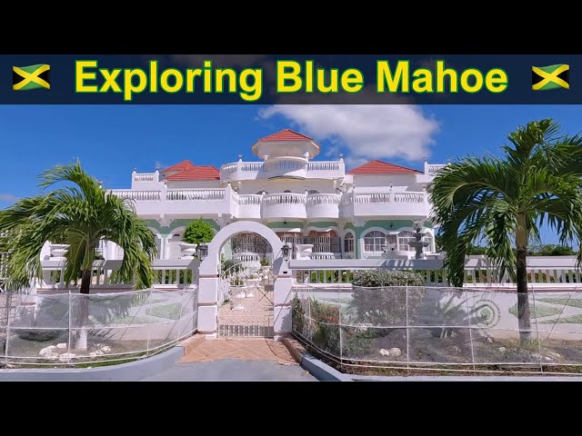 Exploring Blue Mahoe: Scenic Luxury in St Thomas, Jamaica