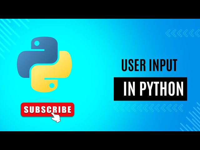 User input in Python | Python for beginners