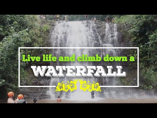 Waterfall Rappelling in Hawaii