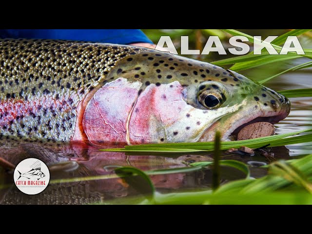 Alaska Fly Fishing with a Mouse Fly - Aniak by Todd Moen