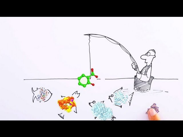 Drawn to Science: Target identification in drug discovery
