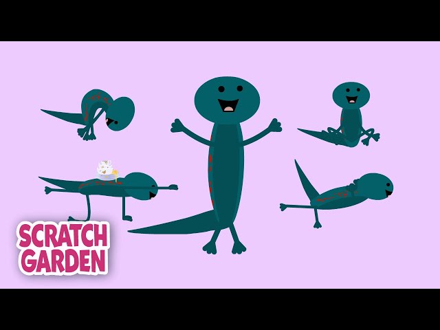 Salamander Yoga - Now with Wings! | 5-minute Yoga Break | Scratch Garden