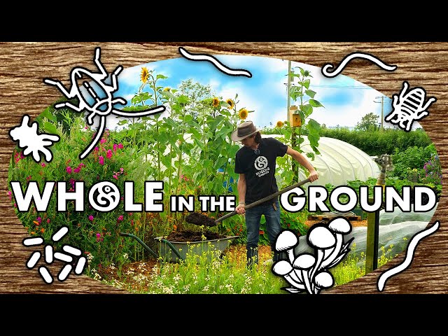 Whole in the Ground | Documentary (2024)