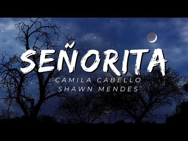 Señorita - Camila Cabello & Shawn Mendes (Lyrics)
