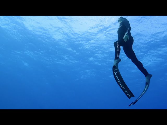 The underwater world of free diver Pierre Frolla I Hamilton Watch