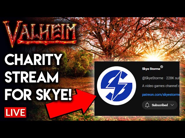 🔴 LIVE - Valheim Charity Stream For @SkyeStorme - I match your donations!