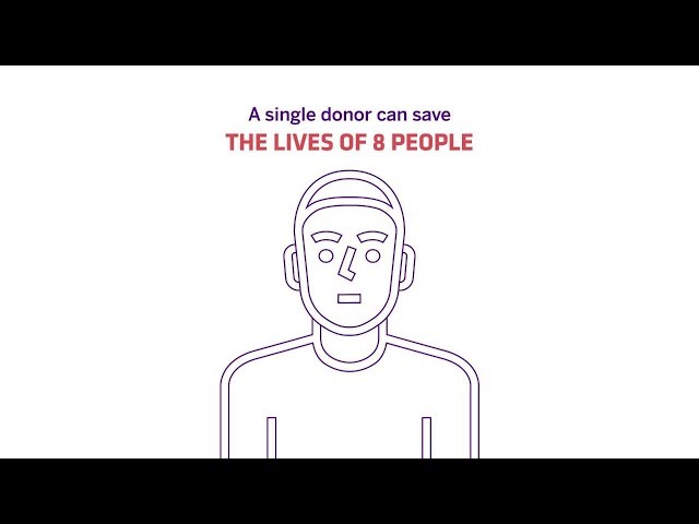 Organ Donor Awareness – NYU Langone Transplant Institute