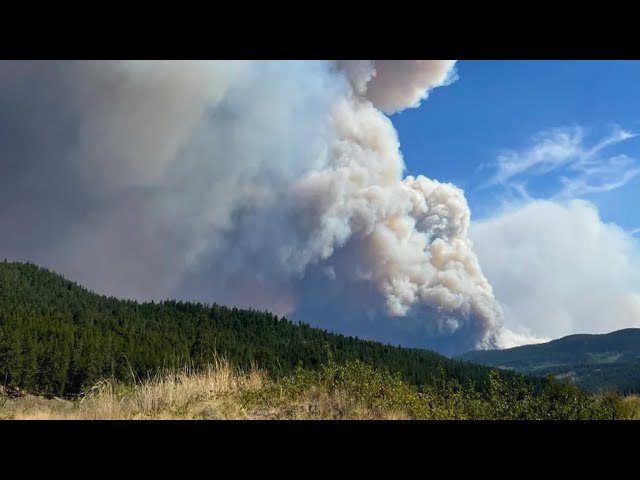Most of Vernon, B.C., on evacuation alert due to White Rock Lake wildfire