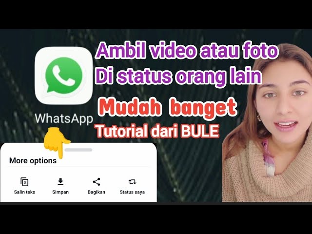 Cara ambil video di status WhatsApp orang lain - Tutorial download video di status WA teman ⚡ Bule