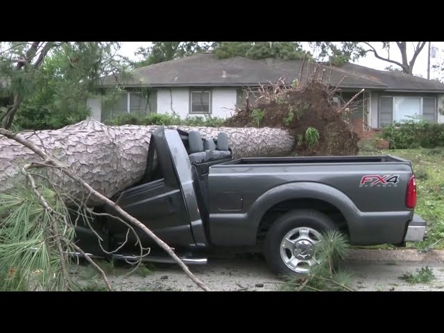 Houston Heights residents begin clean-up after severe thunderstorm sends trees onto cars, houses