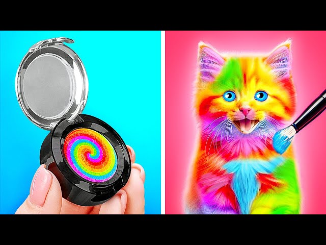 New Cat Makeover 🐱💄🎀 Look At Her Crazy Style