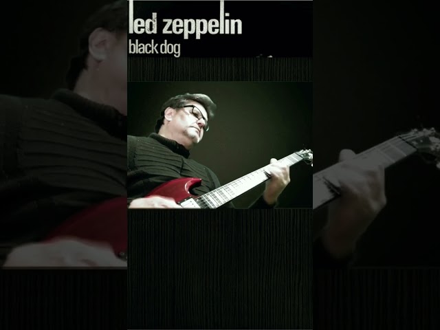 Led Zeppelin Black Dog #classicrock #rock #guitarcover #videoshorts #page #plant #guitar