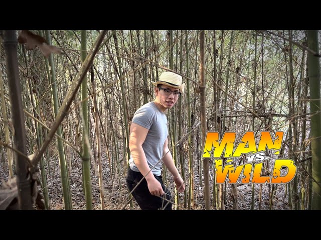 Bamboo Forest FORAGING (VERY DANGEROUS) | Man vs. Wild