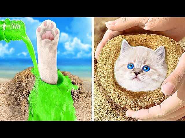 OMG! 😱 What Happened? 🏖️🤔 I Found A Cute Cat At The Beach