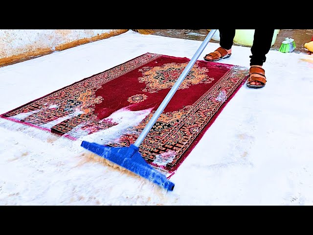 100% GENUINE Rug Cleaning | 🥰 Satisfying ASMR Carpet Cleaning🧼
