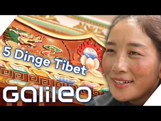 Leben auf über 3000 Höhenmetern! - 5 Gadgets im Alltag eines Tibeters | Galileo | ProSieben