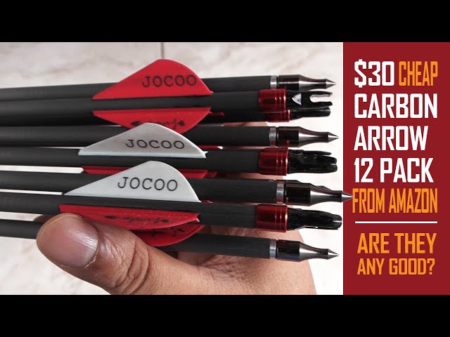 Cheap $30 Carbon Arrow 12 pack from Amazon- Are they any good?