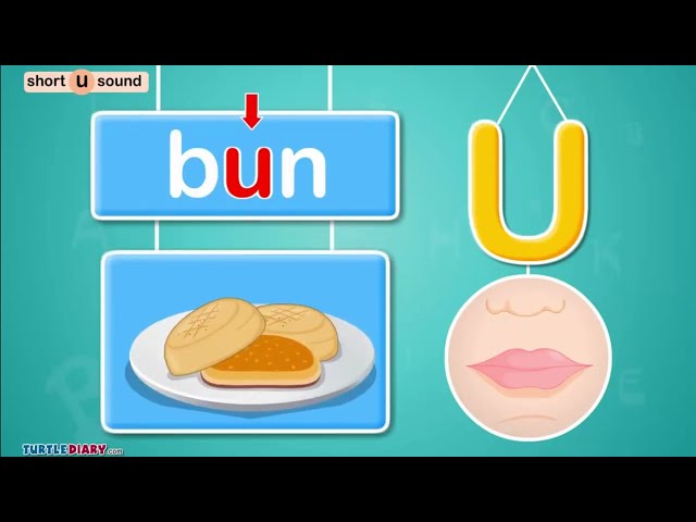 Short /ŭ/ Sound - Fast Phonics I Learn to Read with TurtleDiary.com - Science of Reading