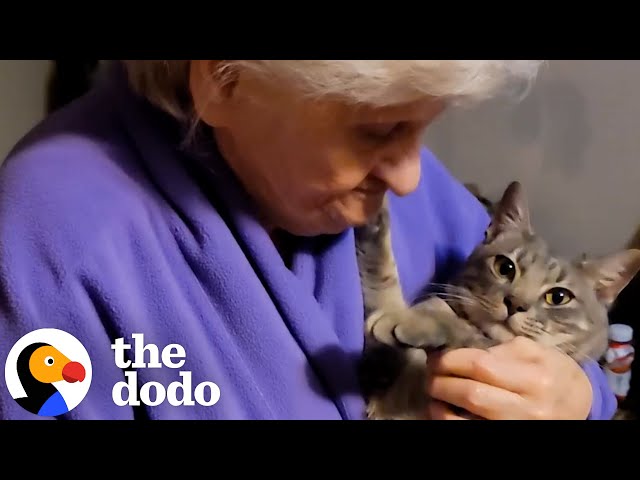 Grandma Is Hiding Her True Feelings About Her Cat | The Dodo