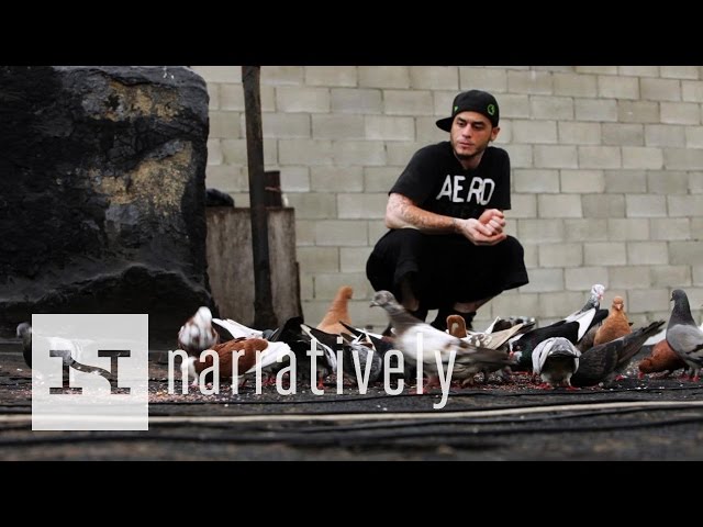 Pigeon Kings of Brooklyn | Narratively