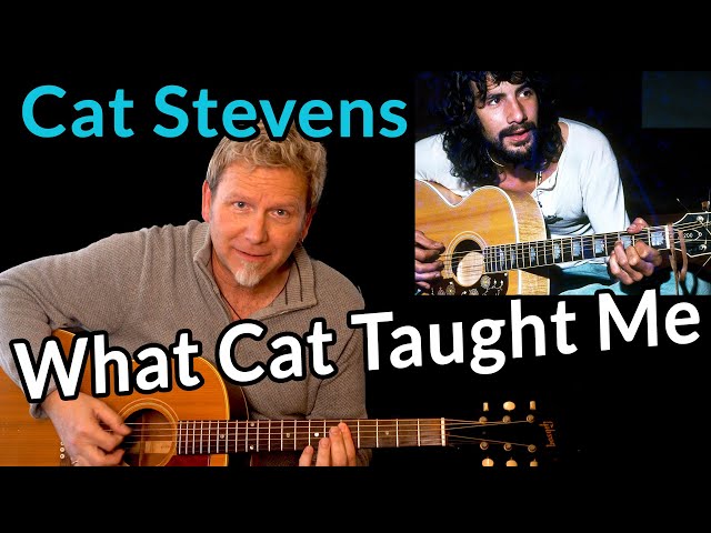 CAT STEVENS - Does Cat's music matter today?