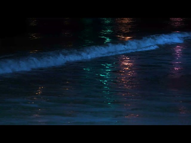 The Sounds Of Waves | Fall Asleep in 5 Minutes with Magical Sounds Of Ocean Waves at Night