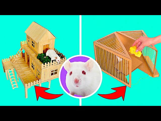 DIY Rat Trap And Rat House Out Of Cardboard And Popsicle Sticks