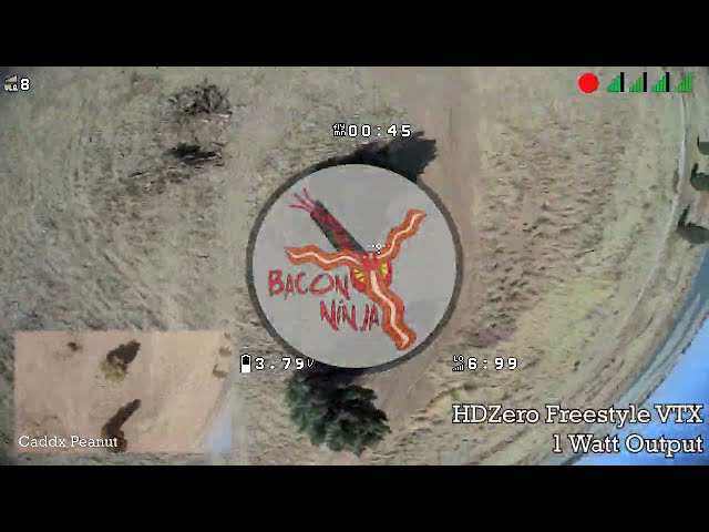 HDZero Freestyle 1 Watt VTX First Flight | BaconNinja Goes Digital