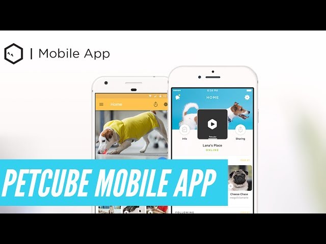 👉 Petcube Mobile App Review | Interactive Pet Camera Smartphone App Tutorial 👈