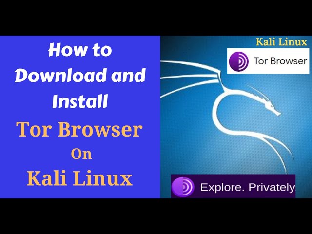 How to Download and Install Tor Browser on Kali Linux (2024)