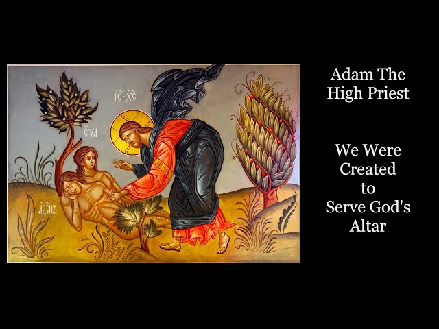 The Priesthood of All Believers - Adam the High Priest